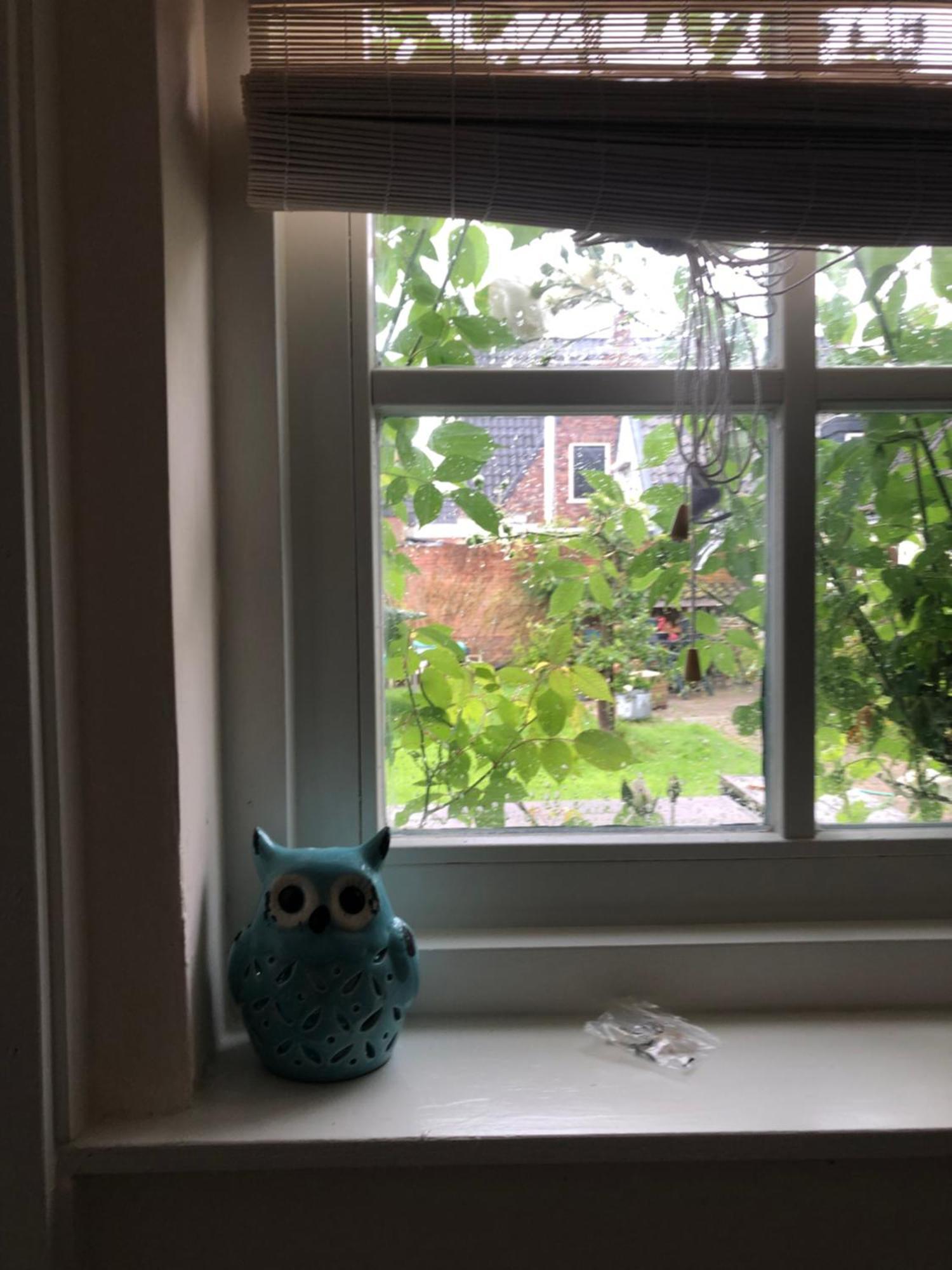 Appartement In Schuur Twisk Εξωτερικό φωτογραφία